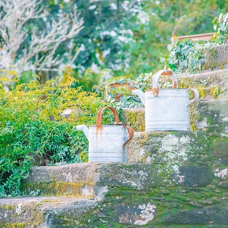 Villa Just Like - Casa De Venade Country Experience *