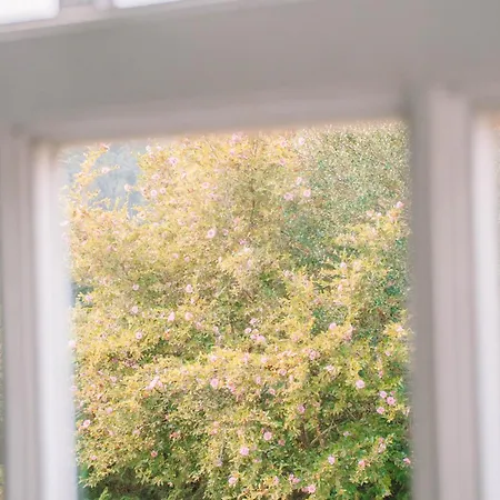 Willa Just Like - Casa De Venade Country Experience *