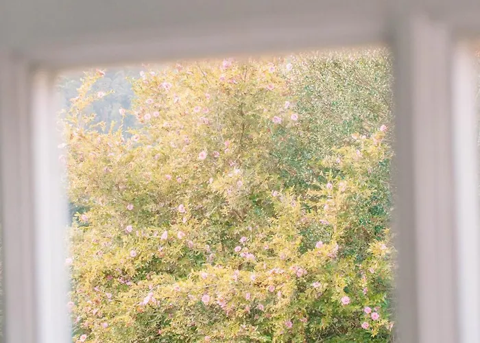 Villa Just Like - Casa De Venade Country Experience *